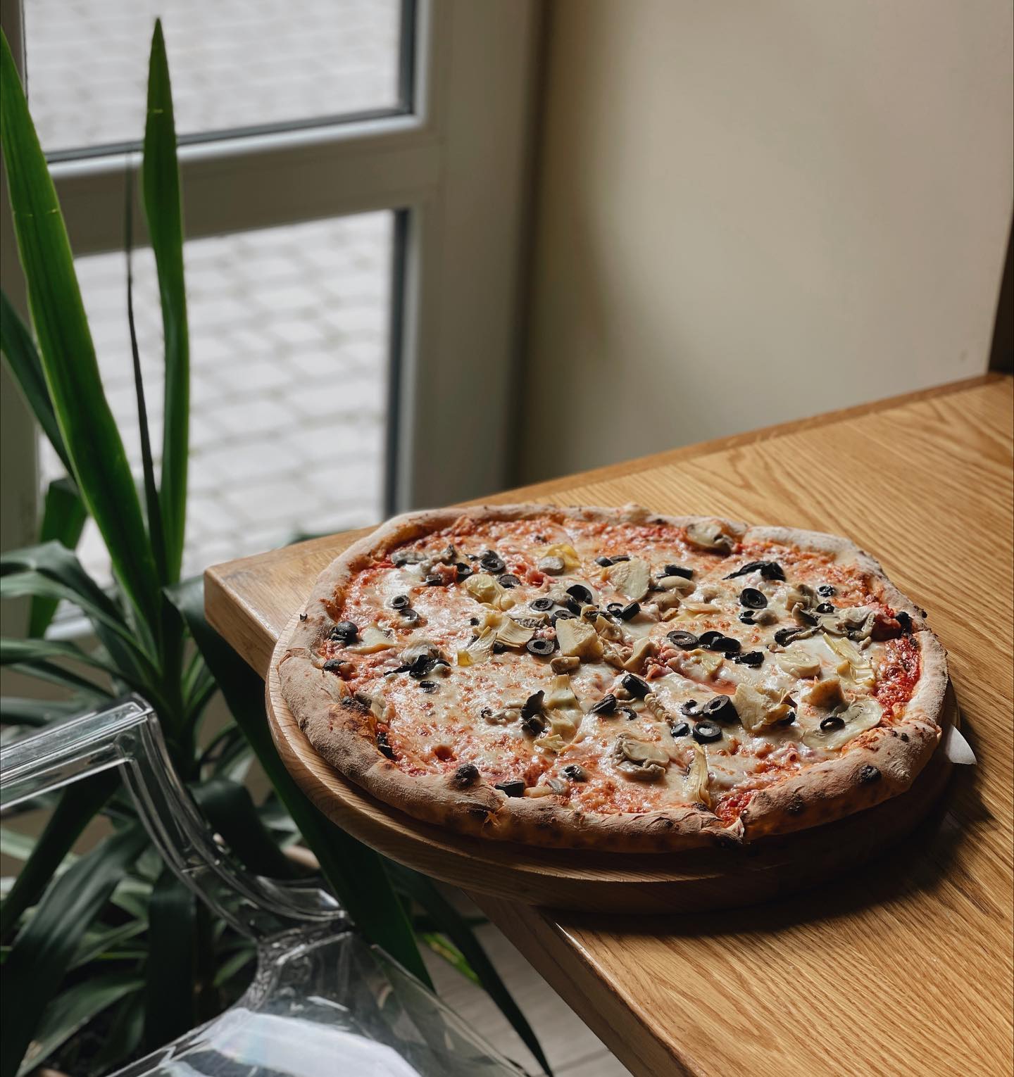 Daniel gallery photo 4