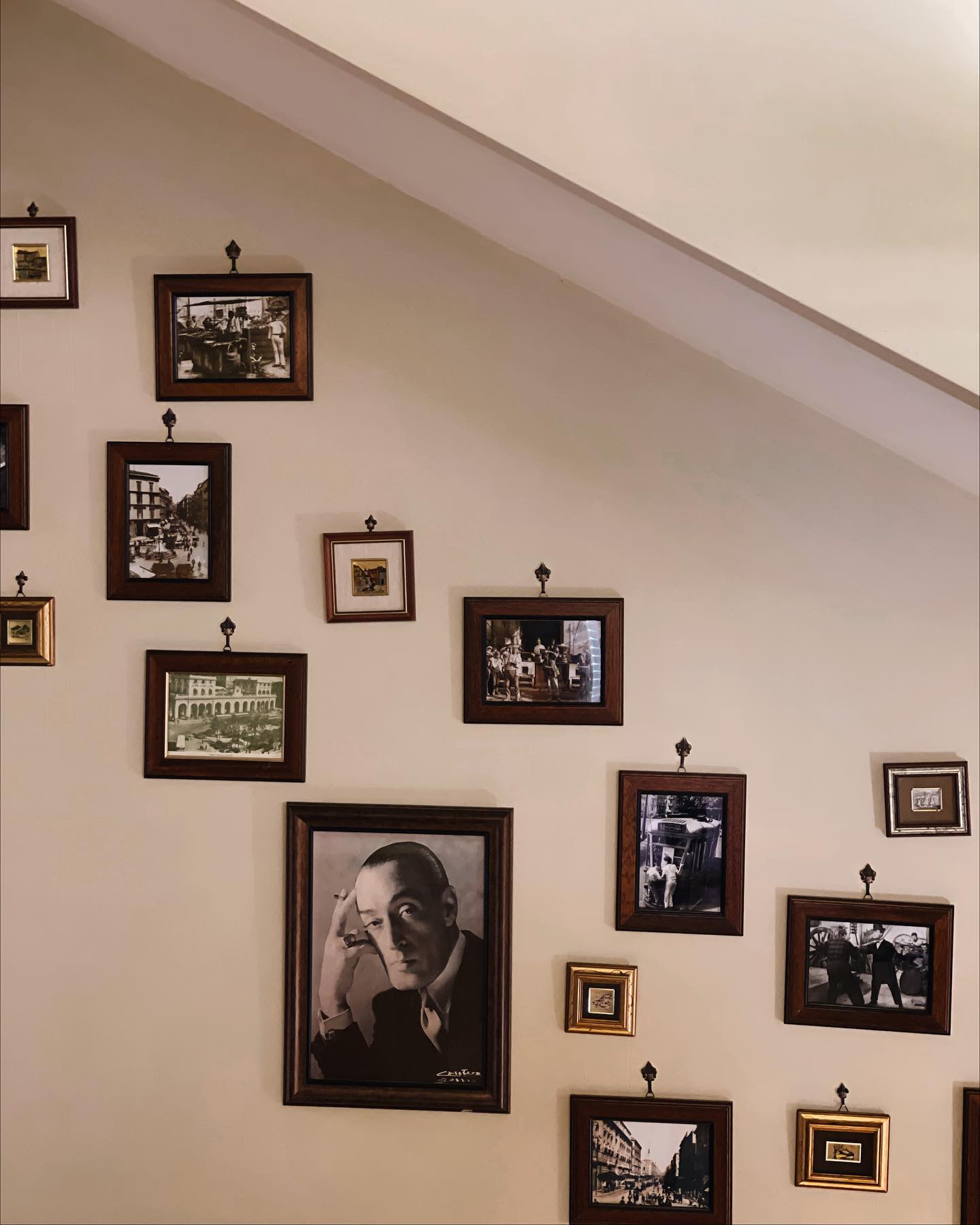 Daniel gallery photo 8